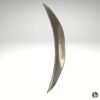 Carbon Fiber Trunk Spoiler for Mazda MX-5 Miata ND Carbon Fiber Trunk Spoiler for Mazda MX-5 Miata ND